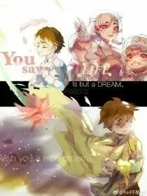 查理九世之汐情