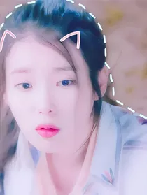 我的后宫花美男们