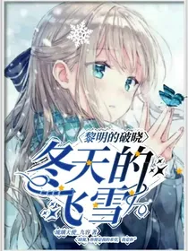 黎明的破晓，冬天的飞雪