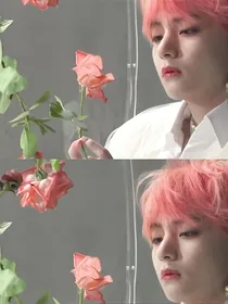 BTS：两星相望