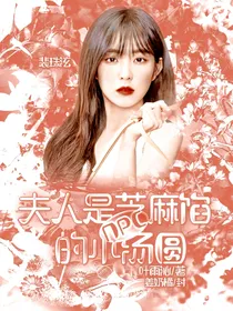 NPC：攻略之夫人是个芝麻馅的小汤圆
