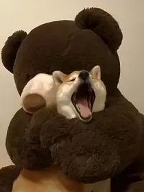 我的首席设计师