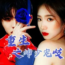 重生之坤少宠岐