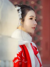听闻相国是婵娟