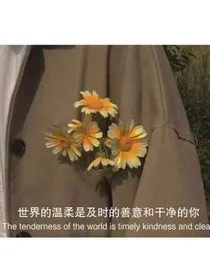 洗白计划：心机影后惹不起
