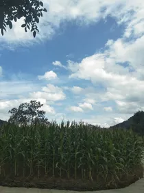 日常记录夹