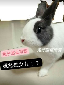 兔子这么可爱竟然是女儿！？