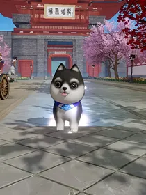 大佬等等我！