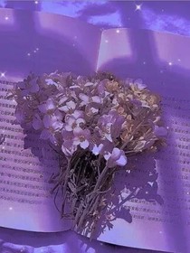 综影视之钟点