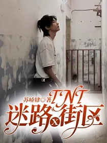 TNT：迷路X街区（修改）