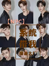 NPC：系统带我撩遍大厂