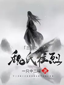 三国之魏氏往烈