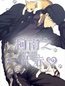 柯南之一片赤心