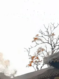 秦时明月星海