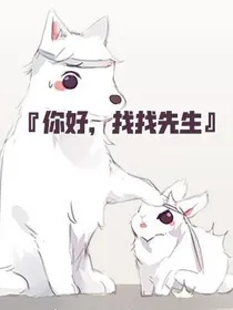 你好，找找先生