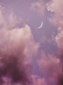 后宫为疑
