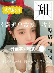 张总裁爱上鞠小姐