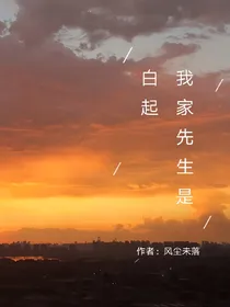我家先生是白起