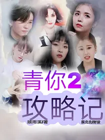青你2：攻略记