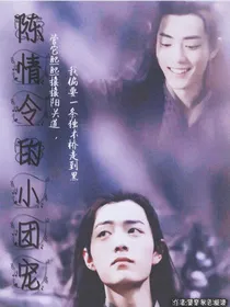 陈情令的小团宠