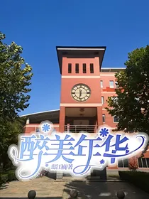 醉美年华