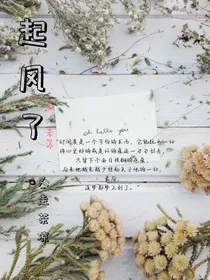 起风了之人走茶凉