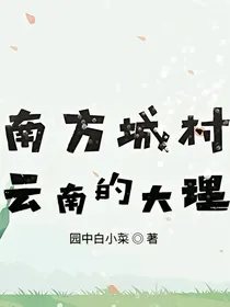 南方城村——云南的大理
