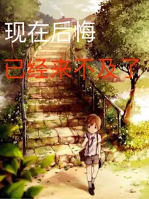 查理九世之现在后悔已经来不及了
