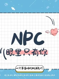 npc：眼中只有你