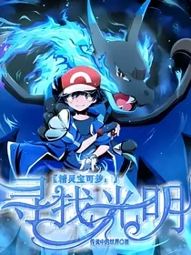 精灵宝可梦：寻找光明