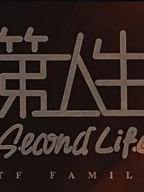 简大经纪的追妻日记