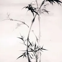 反魔道如愿以偿
