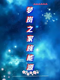 梦岚之家族能源