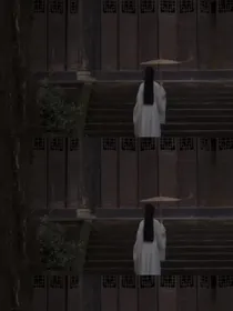陈情令：怀月欢