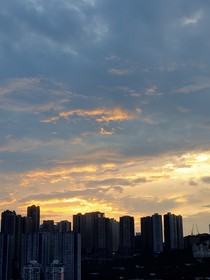 猪牛肉的爱情