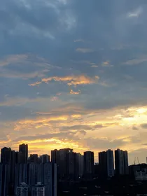 猪牛肉的爱情