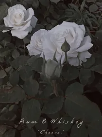 破镜却不能重圆——短篇