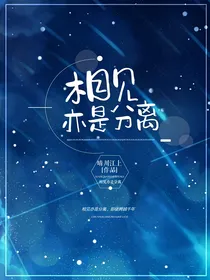 相见亦是分离