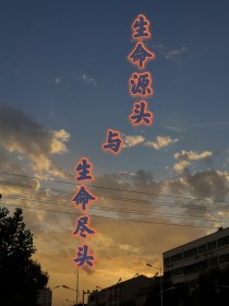 生命源头与生命尽头