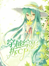 穿越综影拆cp