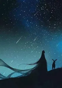 我家的猫