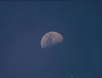 励志的小故事