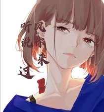 听风说你来过