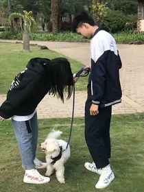 z钟情于你n
