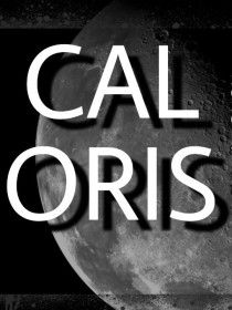 Caloris协会采访录