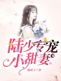 陆少专宠小甜妻