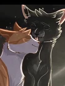 猫武士之冬青叶的守则