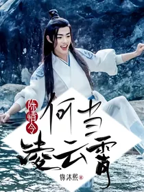 【陈情令】 何当凌云霄