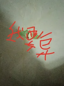配角复仇