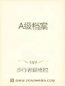A级档案